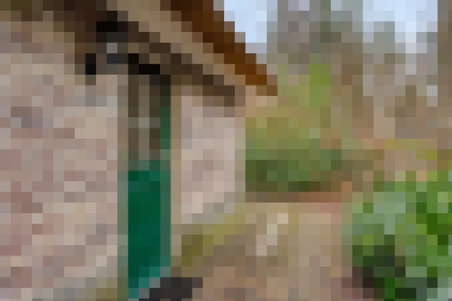 Buinerweg 8 285 Ees thumbnail 8