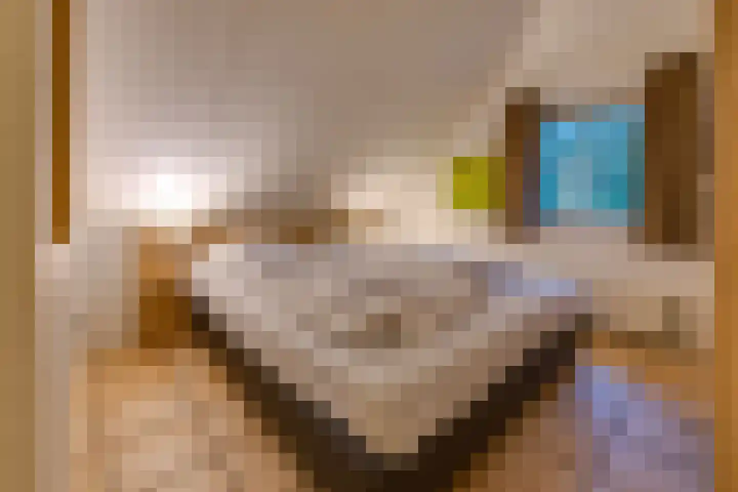 Buinerweg 8 287 Ees thumbnail 27