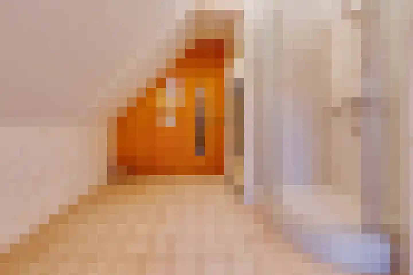 Buinerweg 8 287 Ees thumbnail 31