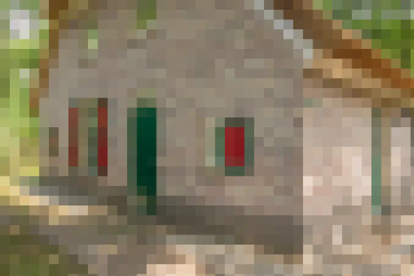 Buinerweg 8 287 Ees thumbnail 33