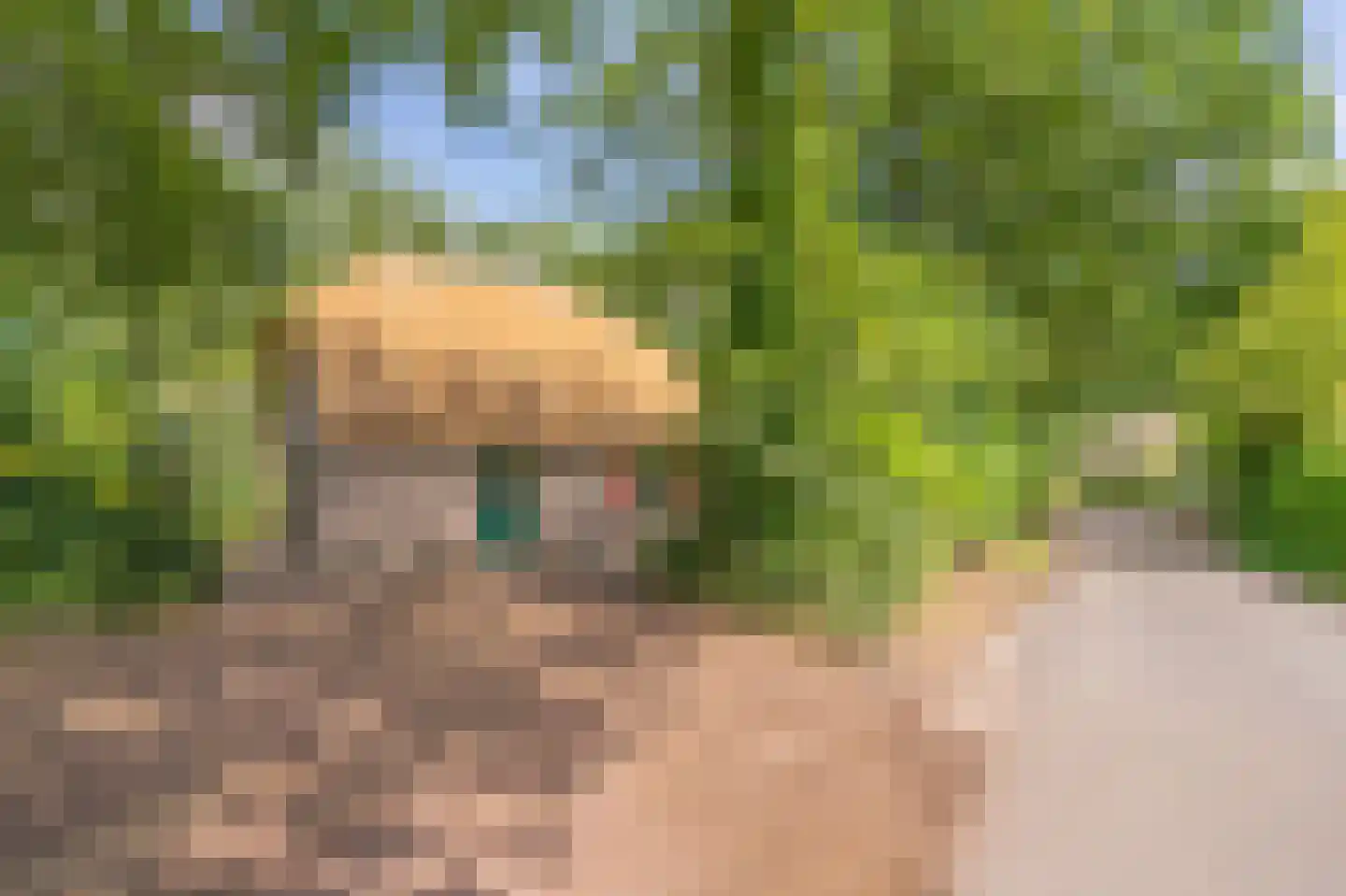 Buinerweg 8 287 Ees thumbnail 35
