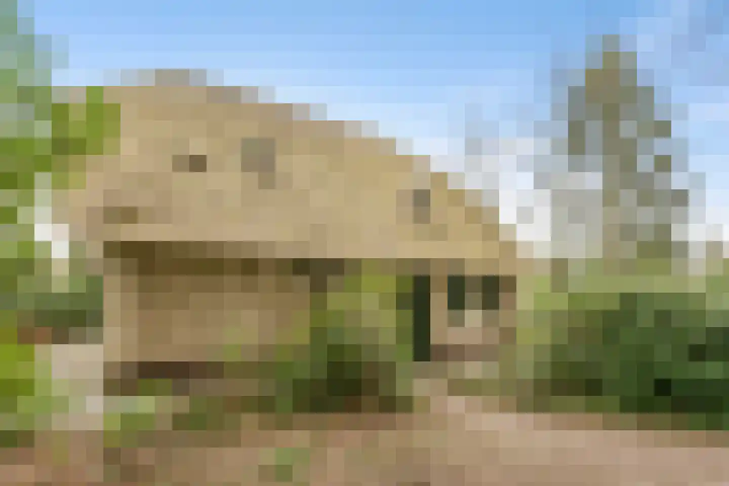 Buinerweg 8 304 Ees thumbnail 19