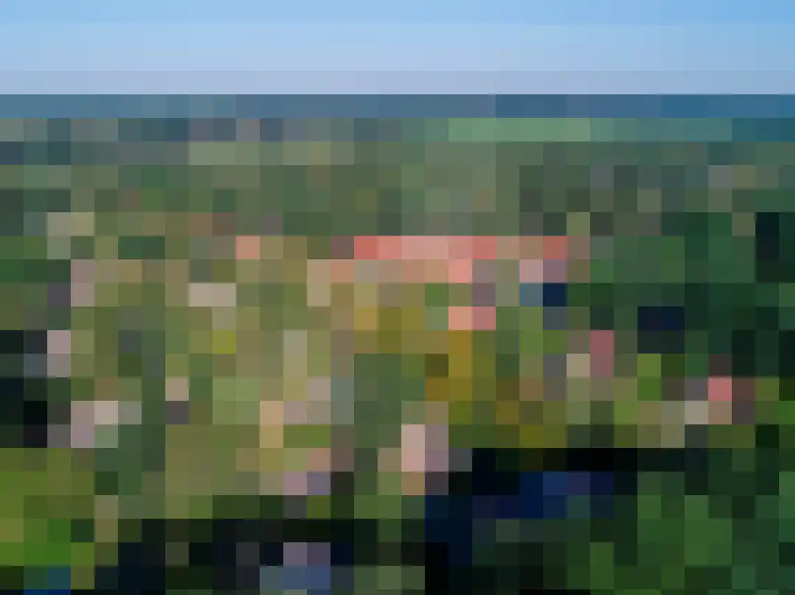 Buinerweg 8 304 Ees thumbnail 29