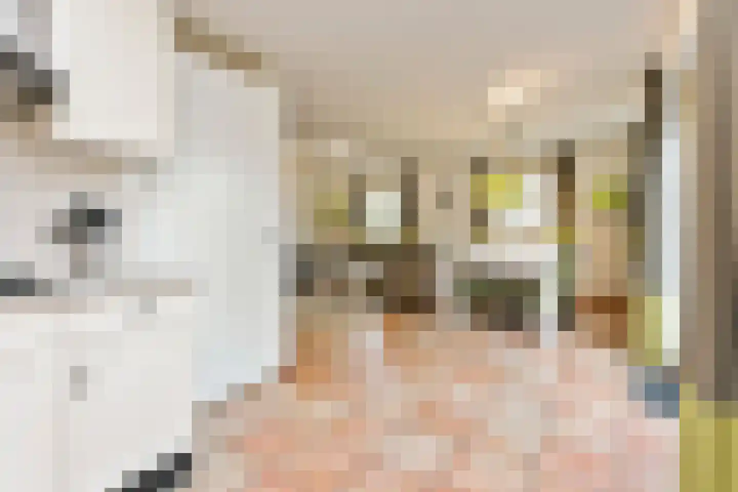 Buinerweg 8 304 Ees thumbnail 7