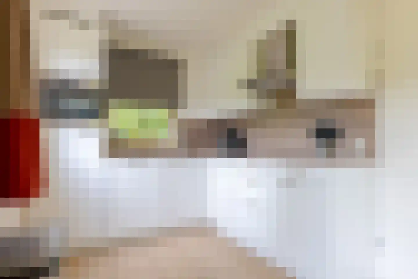 Buinerweg 8 307 Ees thumbnail 17