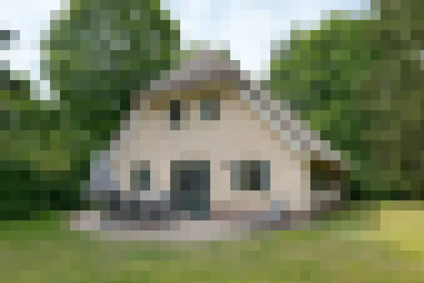 Buinerweg 8 307 Ees thumbnail 4