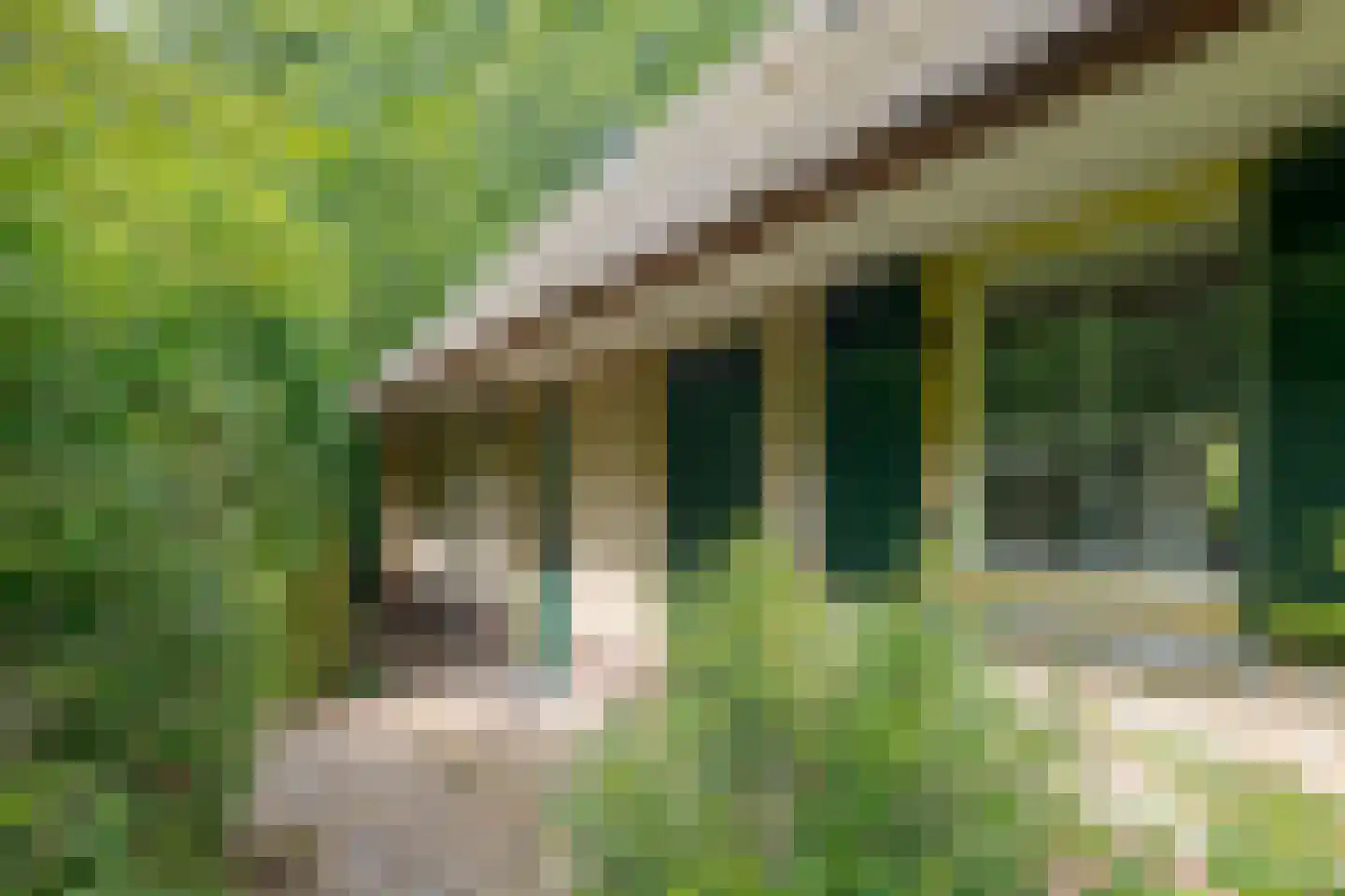 Buinerweg 8 307 Ees thumbnail 42