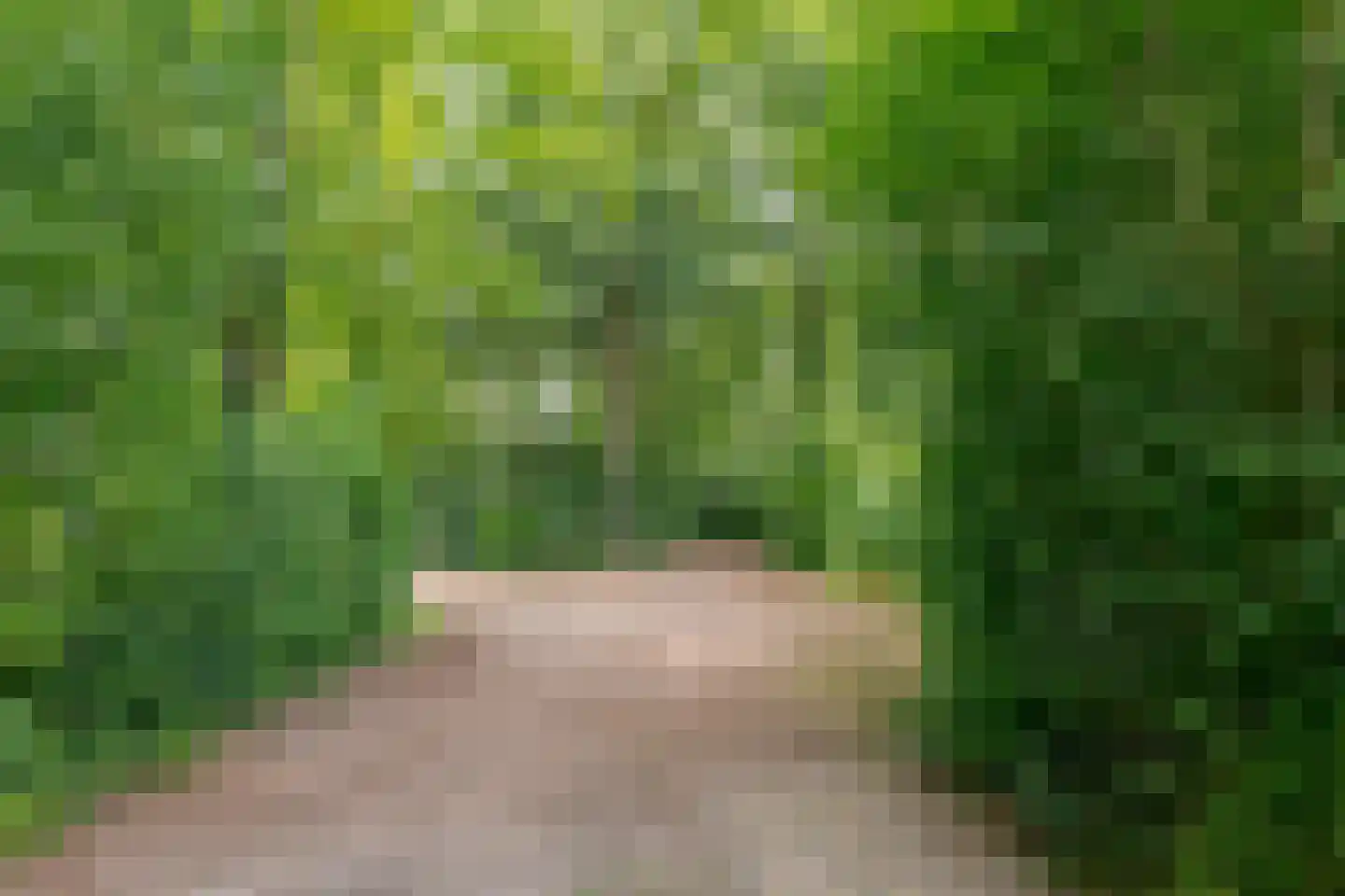 Buinerweg 8 307 Ees thumbnail 44