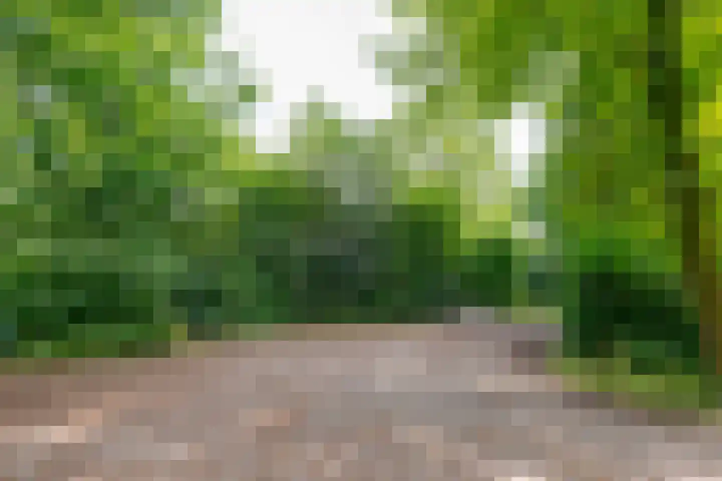 Buinerweg 8 307 Ees thumbnail 45