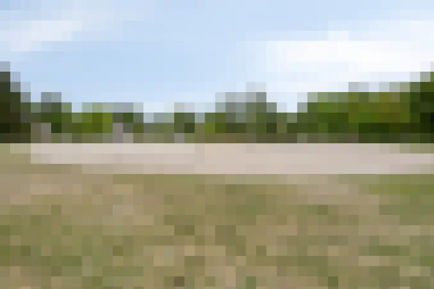Buinerweg 8 313 Ees thumbnail 11