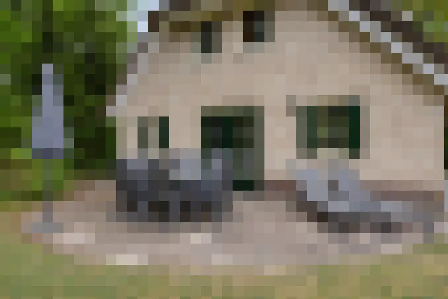 Buinerweg 8 313 Ees thumbnail 12