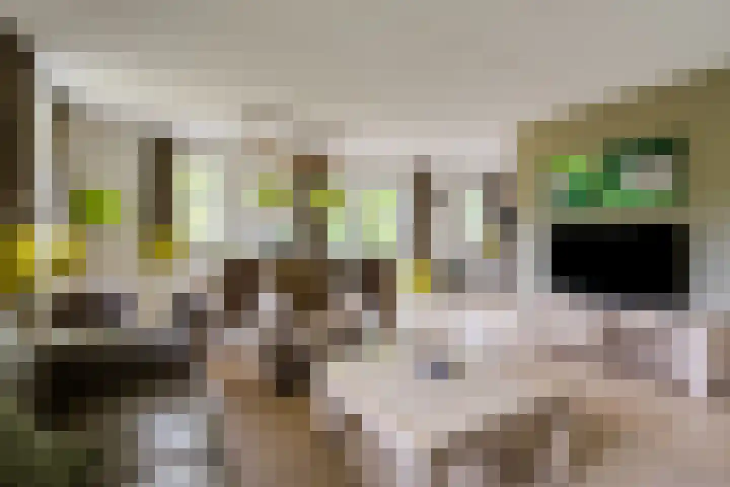 Buinerweg 8 313 Ees thumbnail 17