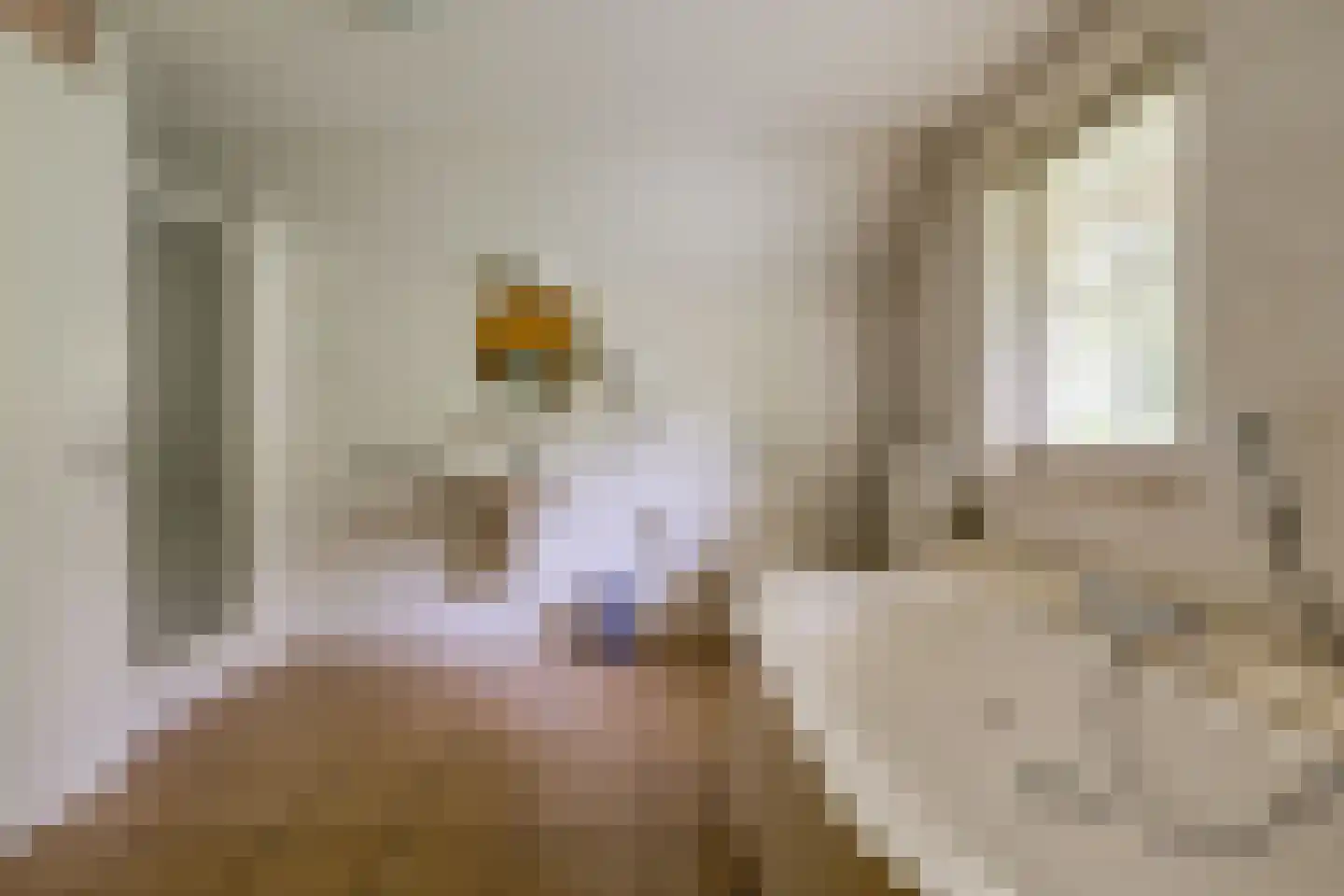 Buinerweg 8 313 Ees thumbnail 32