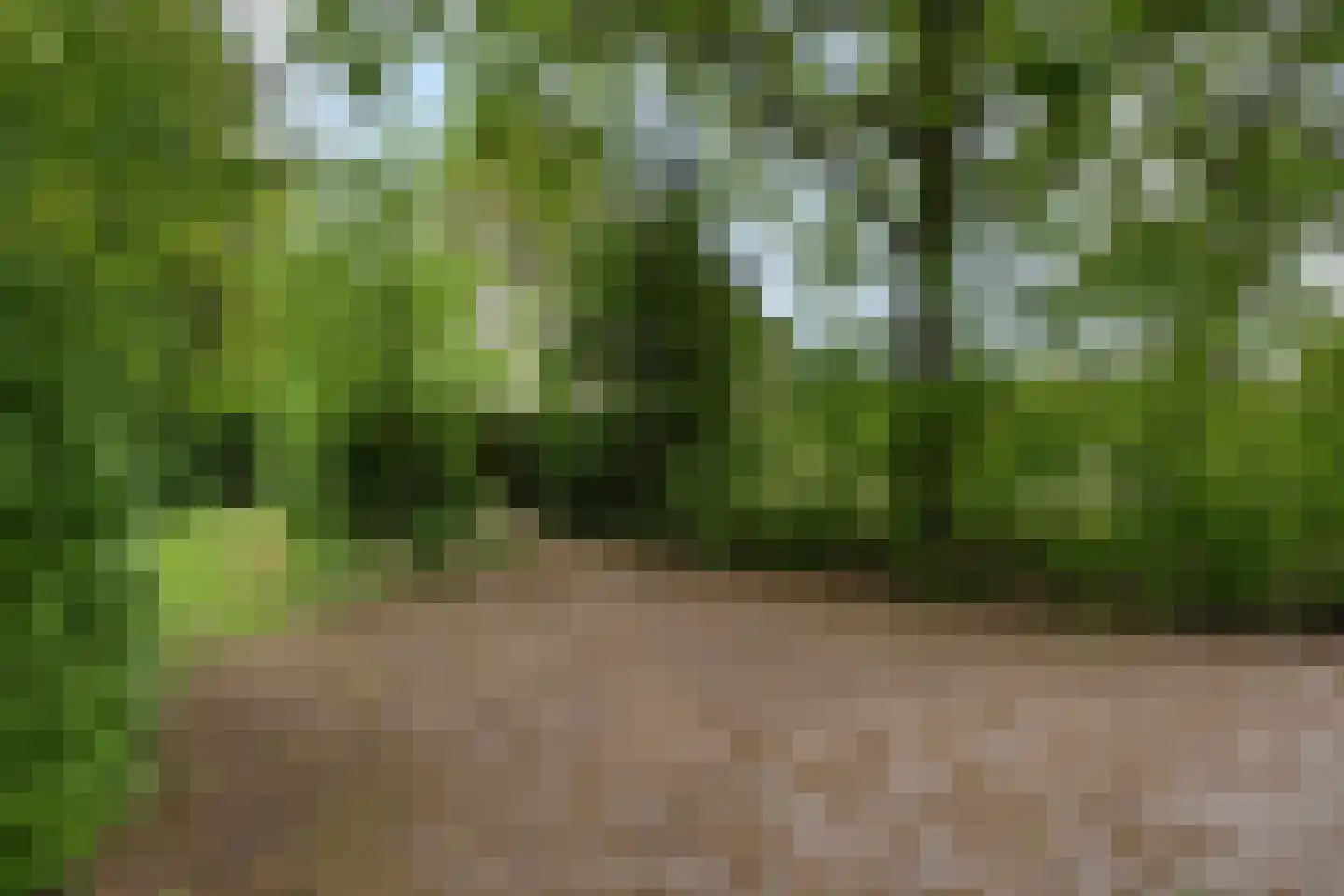 Buinerweg 8 313 Ees thumbnail 4