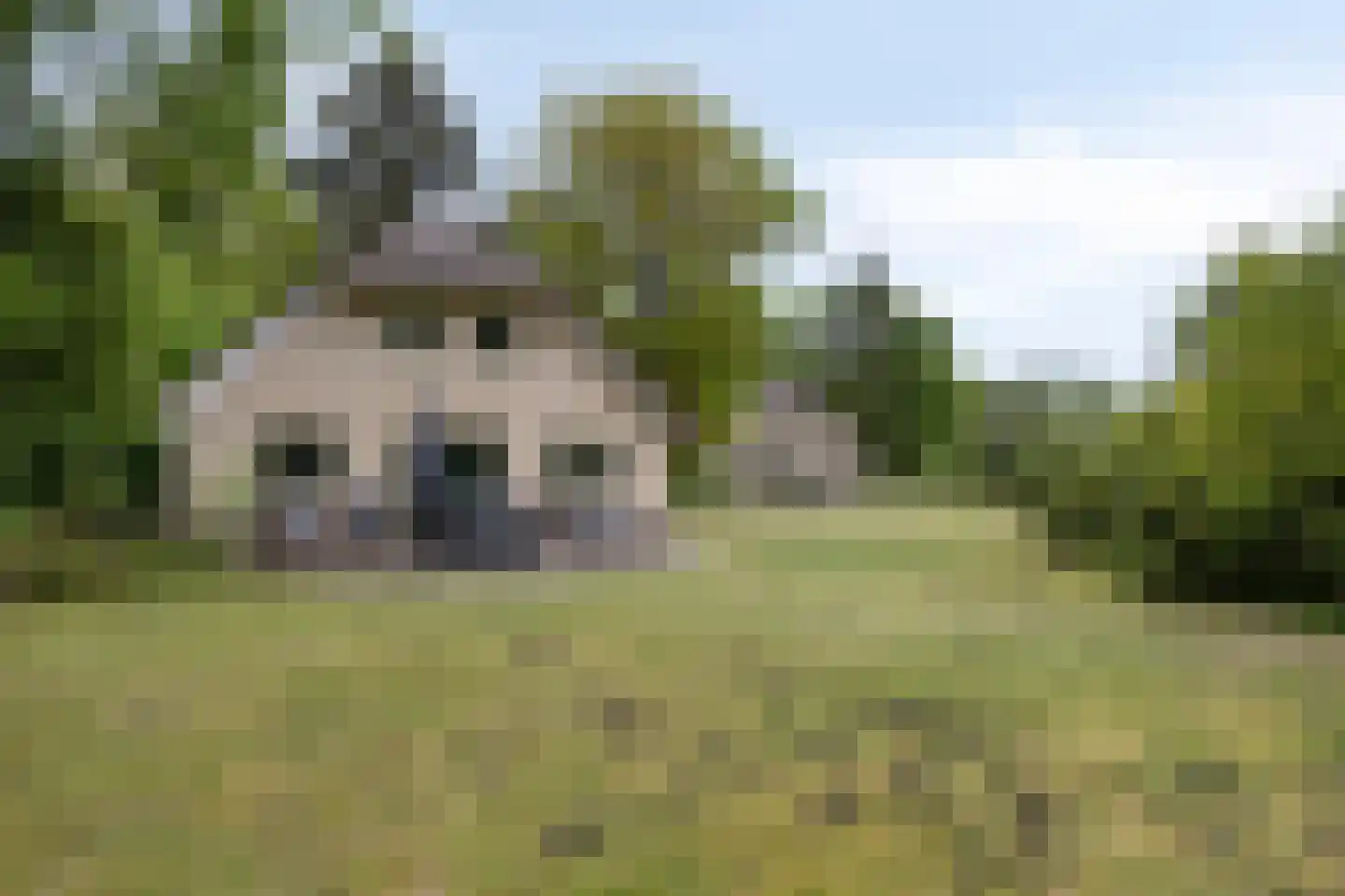 Buinerweg 8 313 Ees thumbnail 5