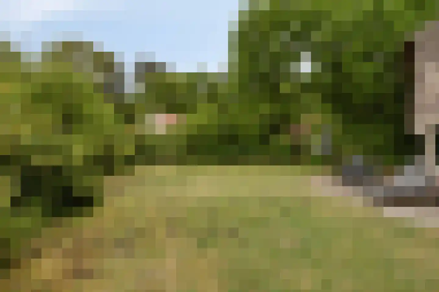 Buinerweg 8 313 Ees thumbnail 7