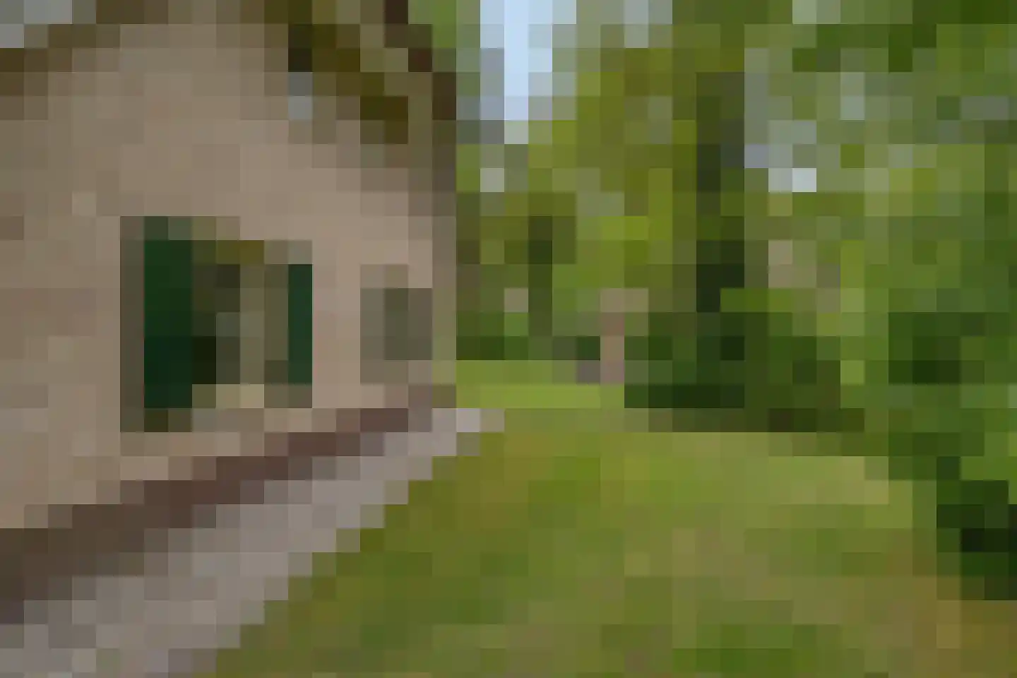 Buinerweg 8 313 Ees thumbnail 8
