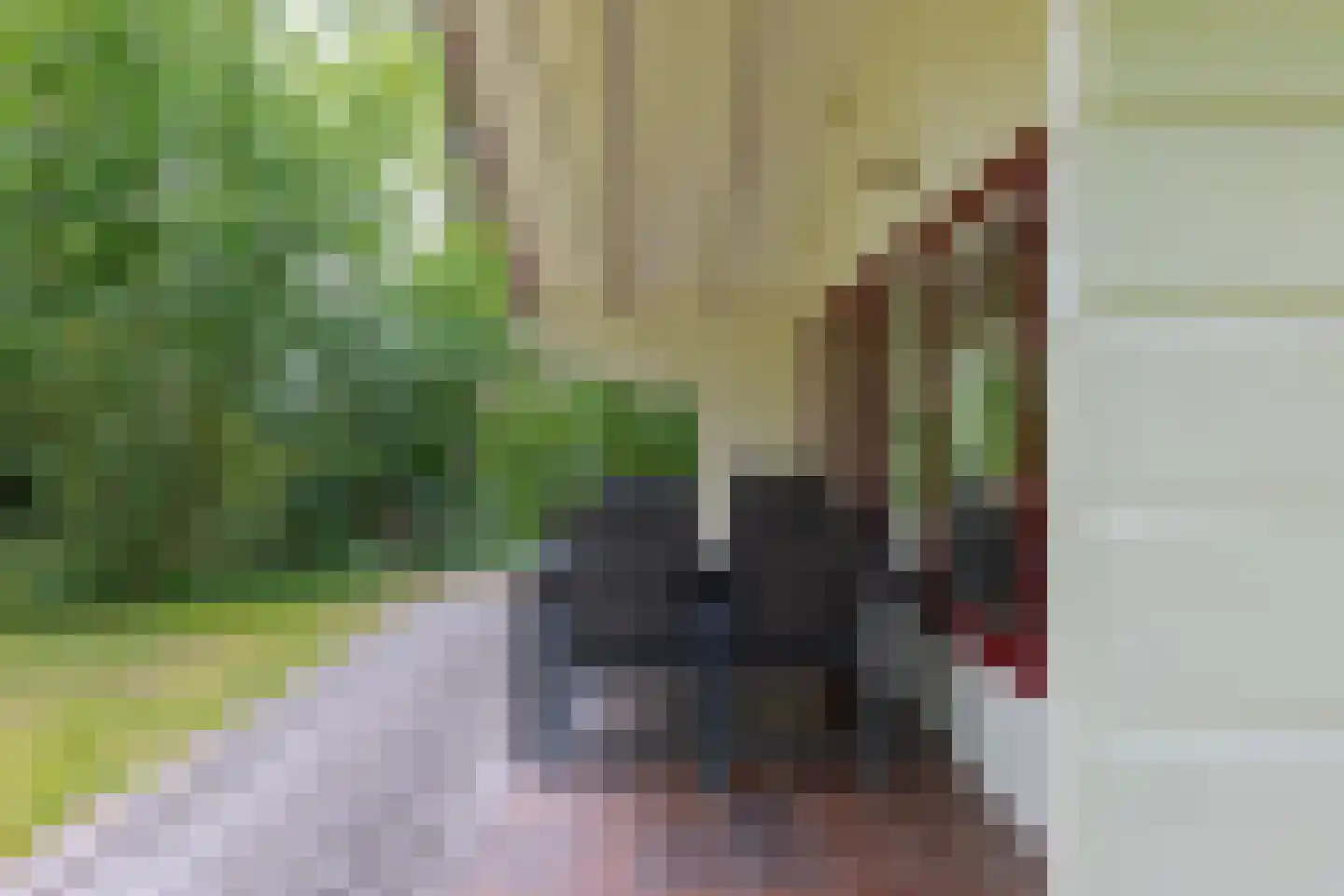 Buinerweg 8 319 Ees thumbnail 17