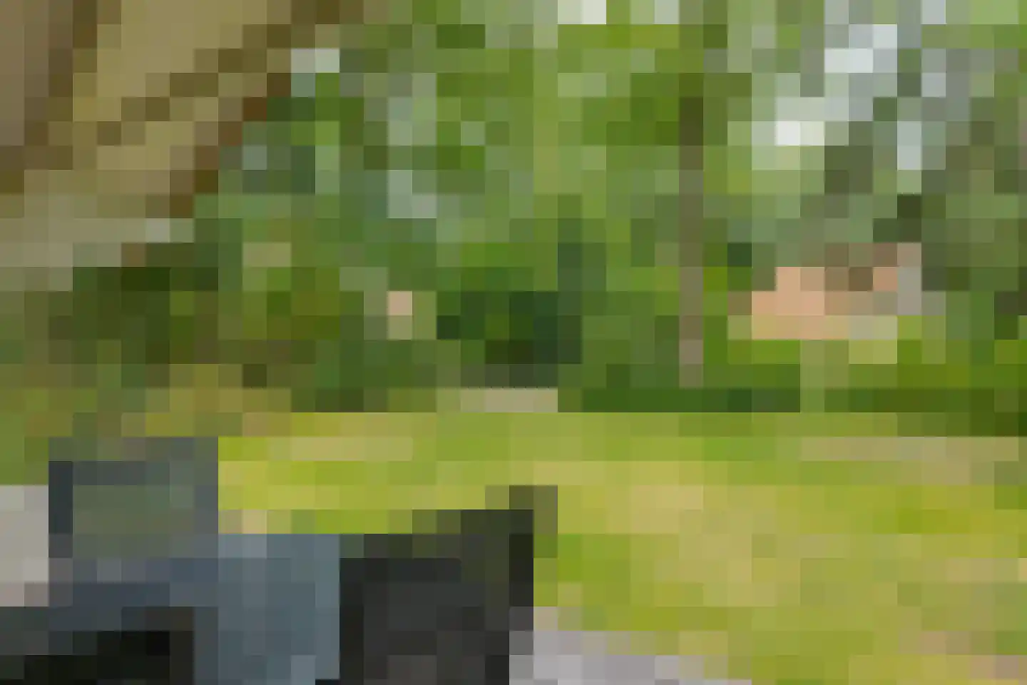 Buinerweg 8 319 Ees thumbnail 18