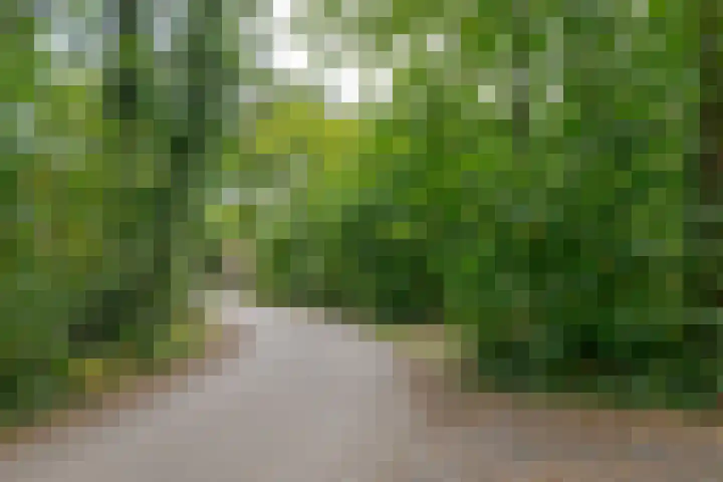 Buinerweg 8 319 Ees thumbnail 32