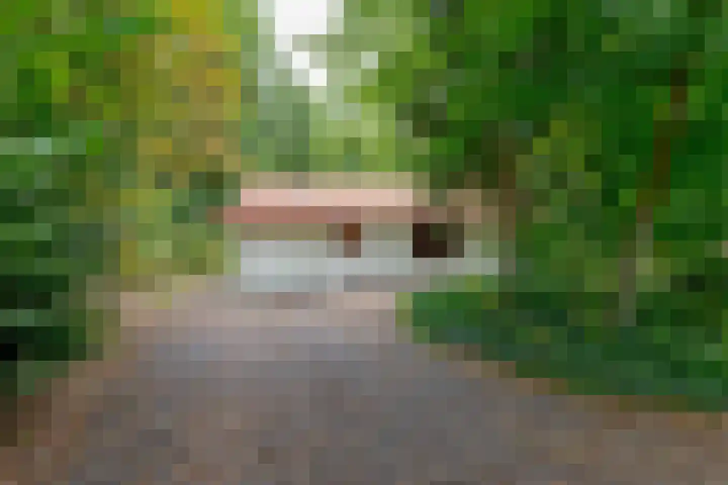 Buinerweg 8 319 Ees thumbnail 4
