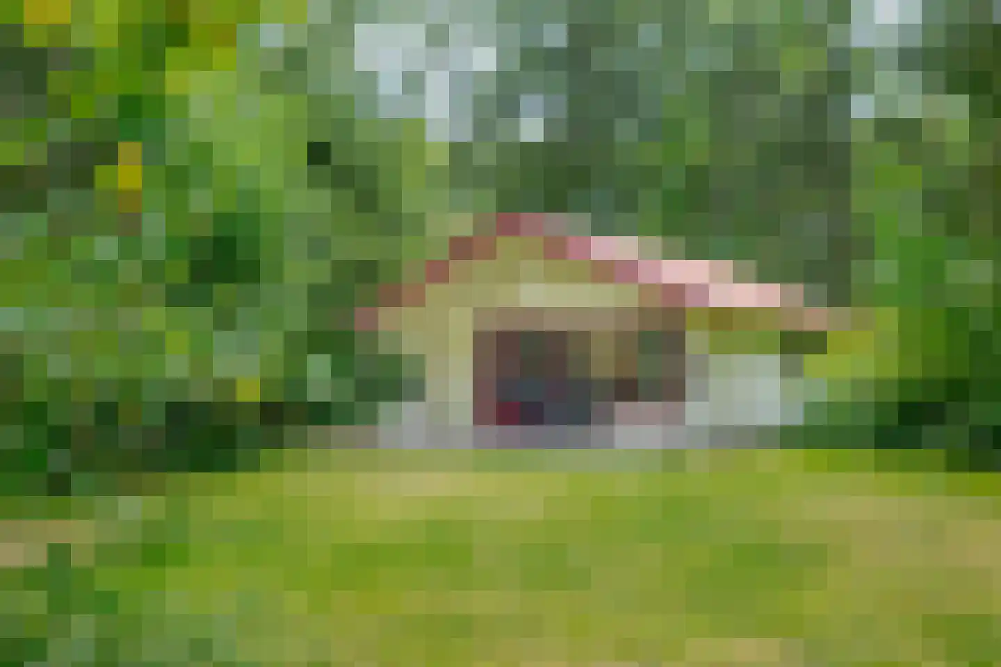Buinerweg 8 319 Ees thumbnail 6