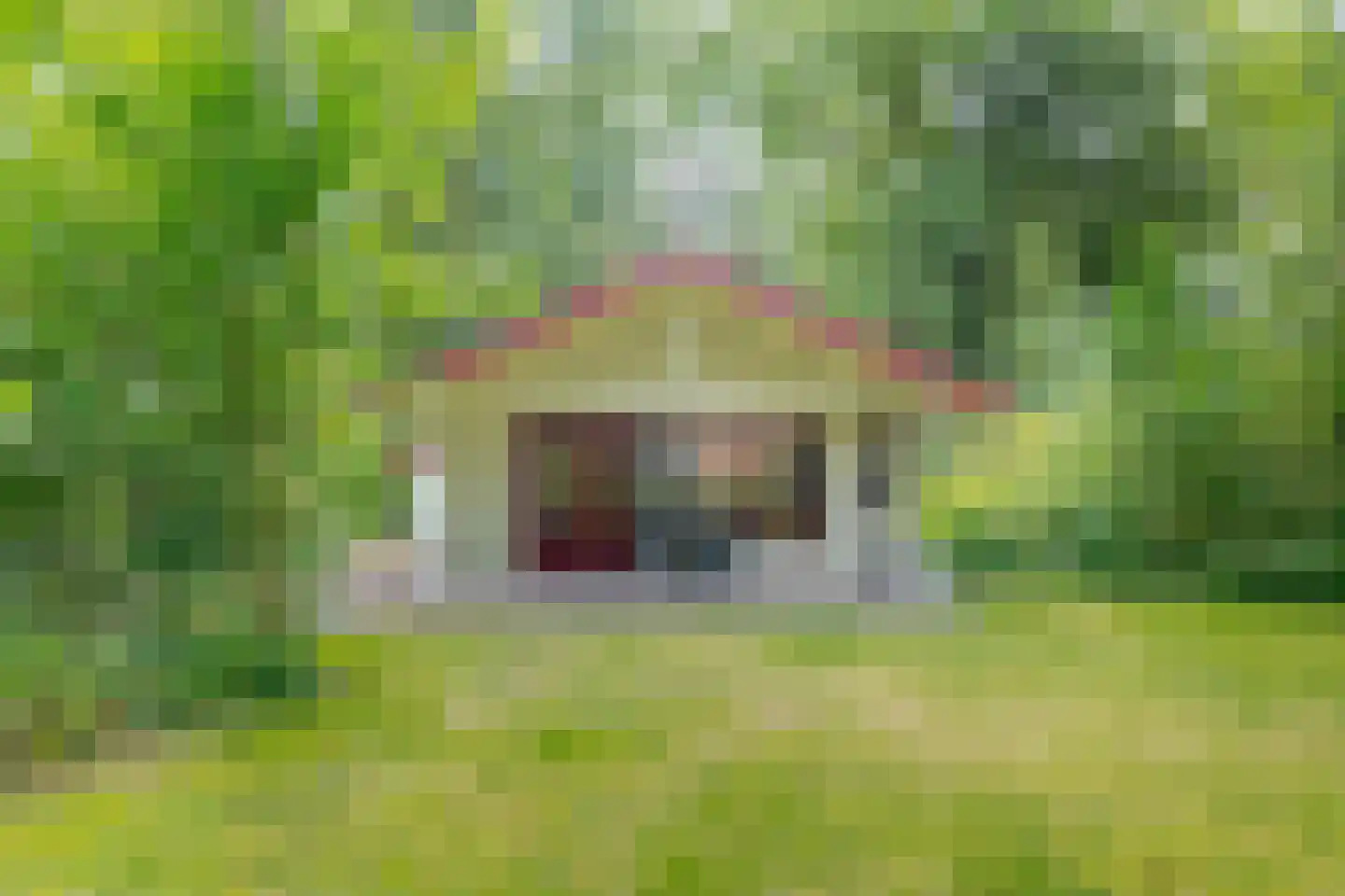 Buinerweg 8 319 Ees thumbnail 7