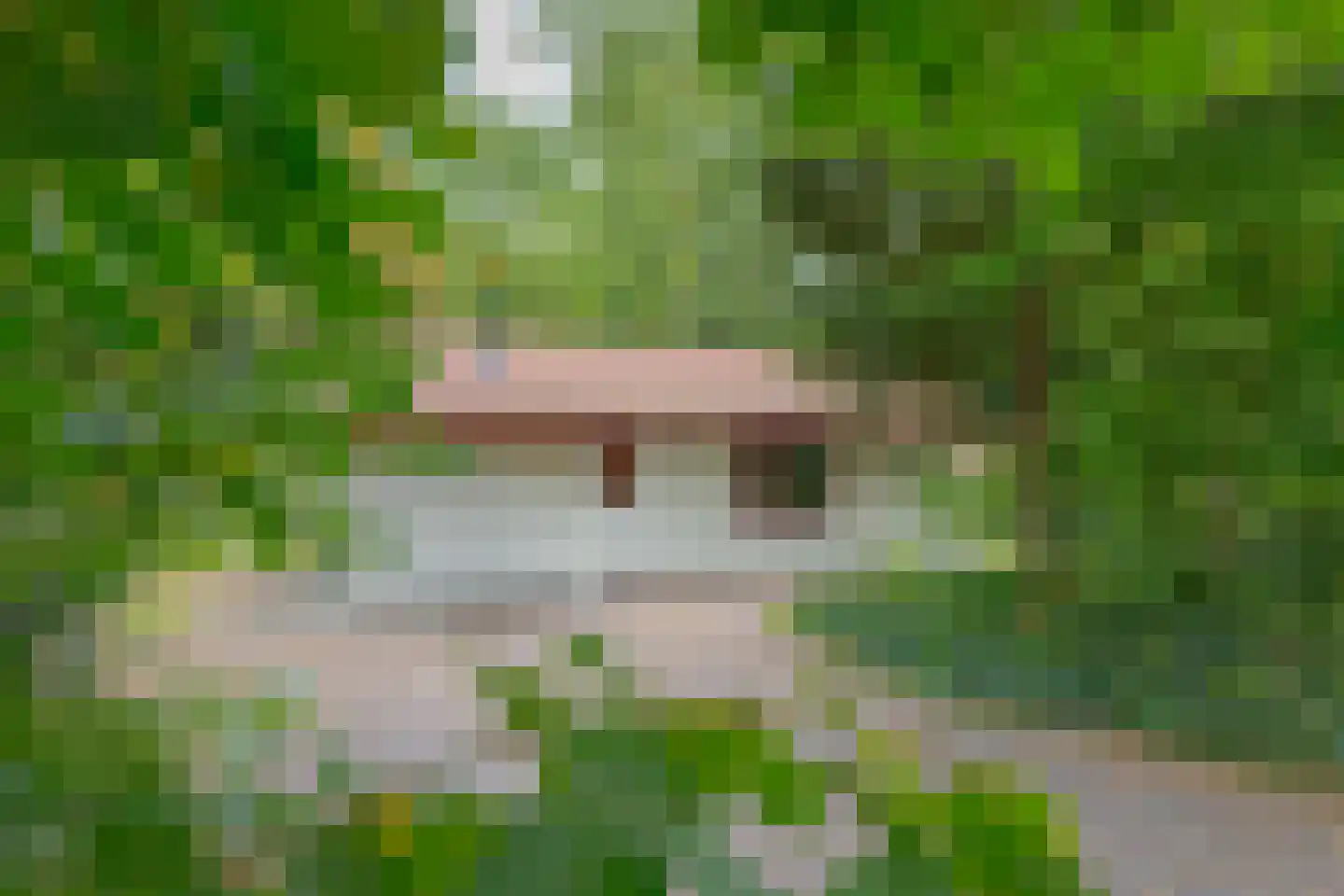 Buinerweg 8 319 Ees thumbnail 8