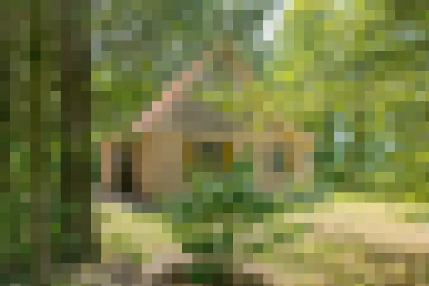 Buinerweg 8 401 Ees thumbnail 28