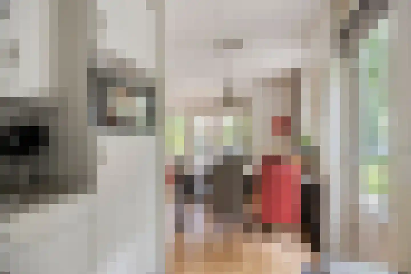 Buinerweg 8 420 Ees thumbnail 15