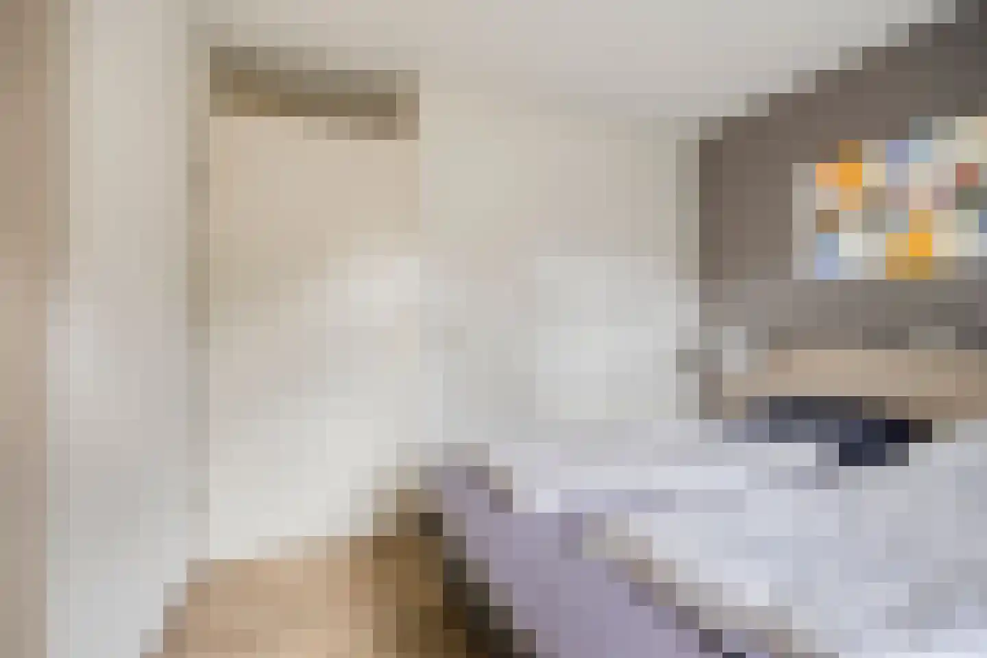 Buinerweg 8 420 Ees thumbnail 17