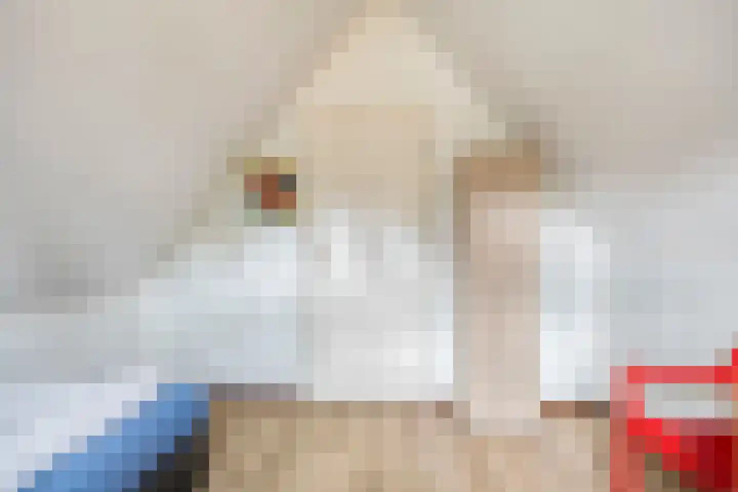 Buinerweg 8 420 Ees thumbnail 22