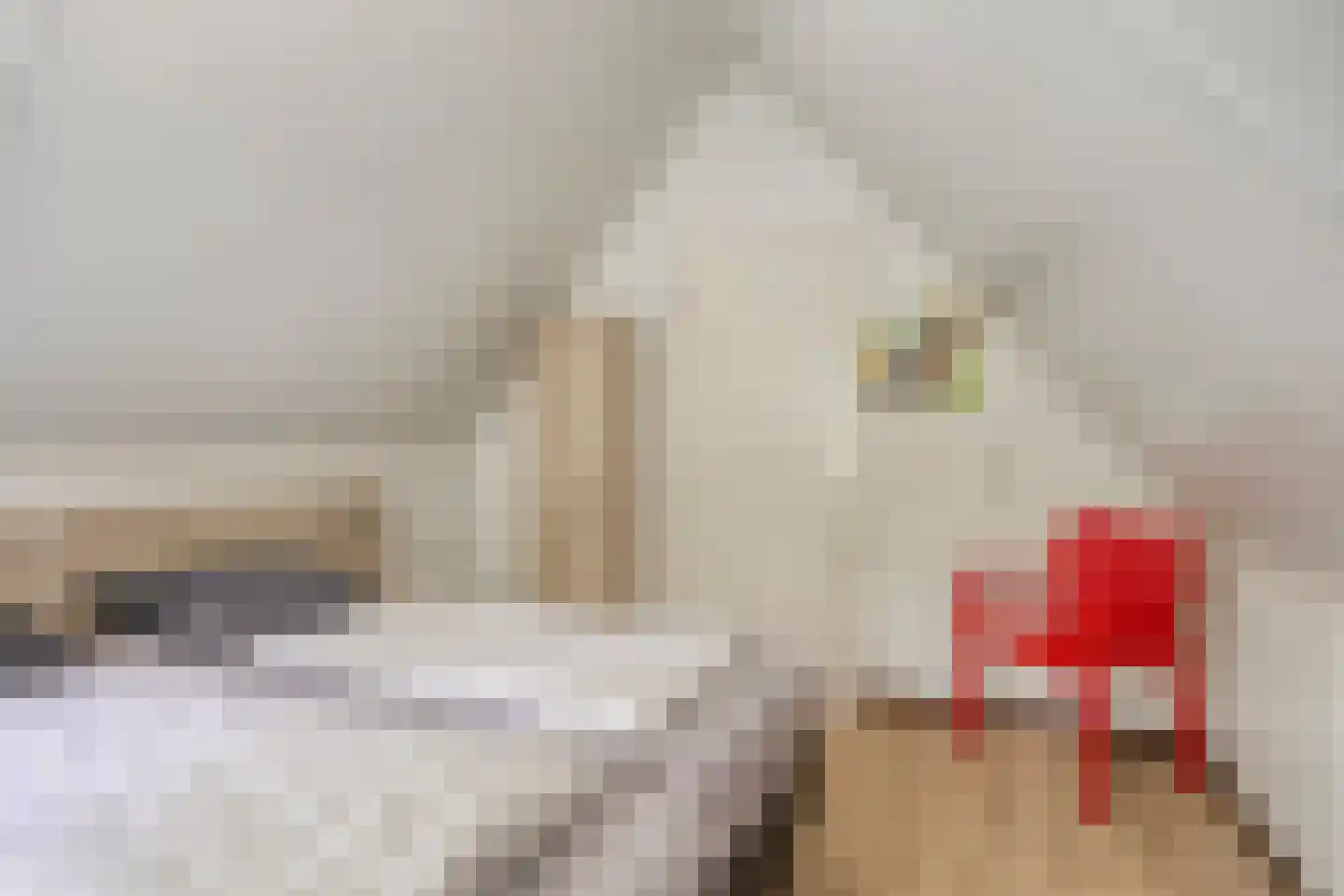 Buinerweg 8 420 Ees thumbnail 24