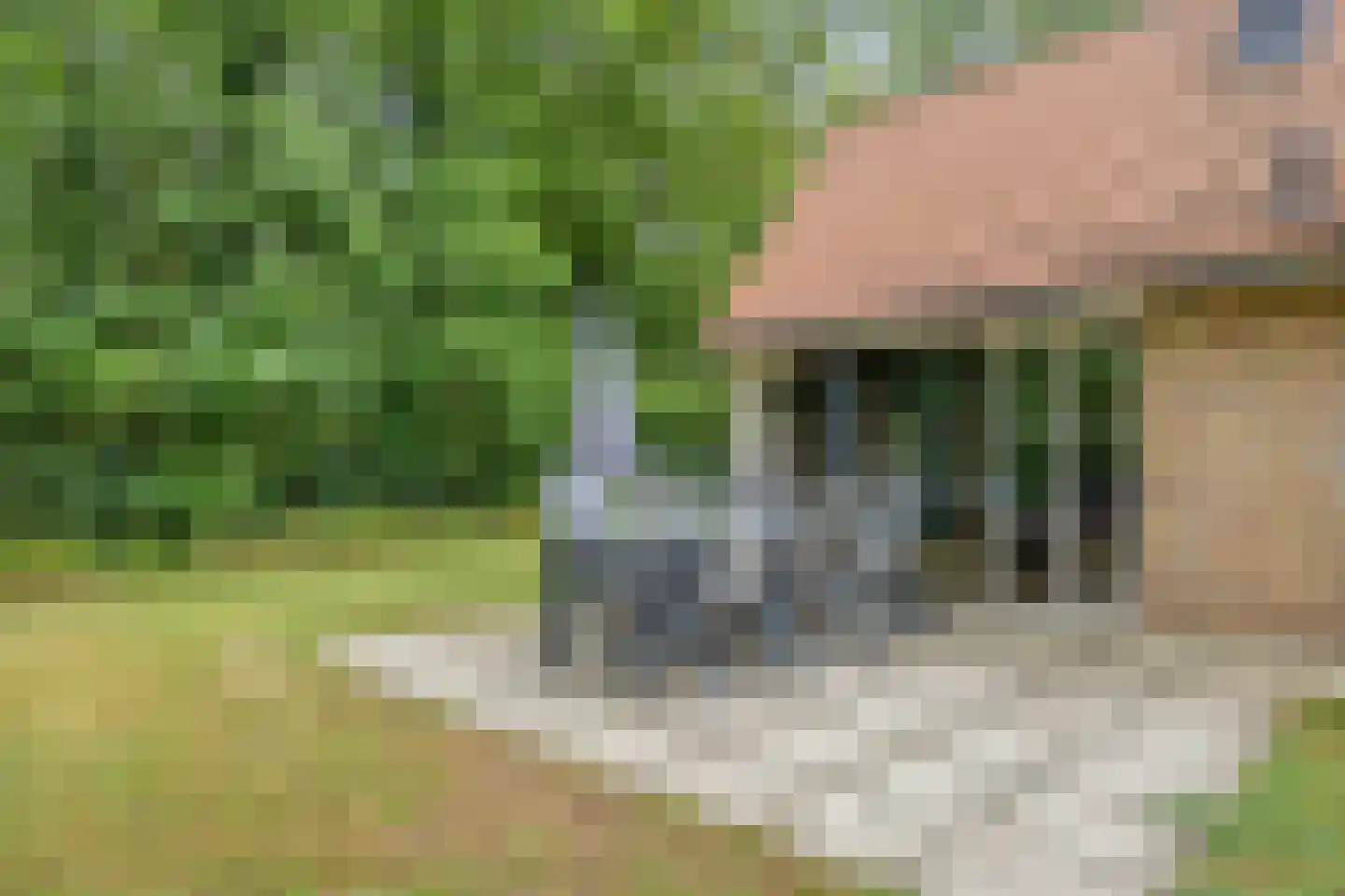 Buinerweg 8 420 Ees thumbnail 28