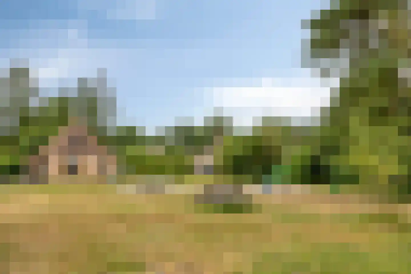 Buinerweg 8 420 Ees thumbnail 34