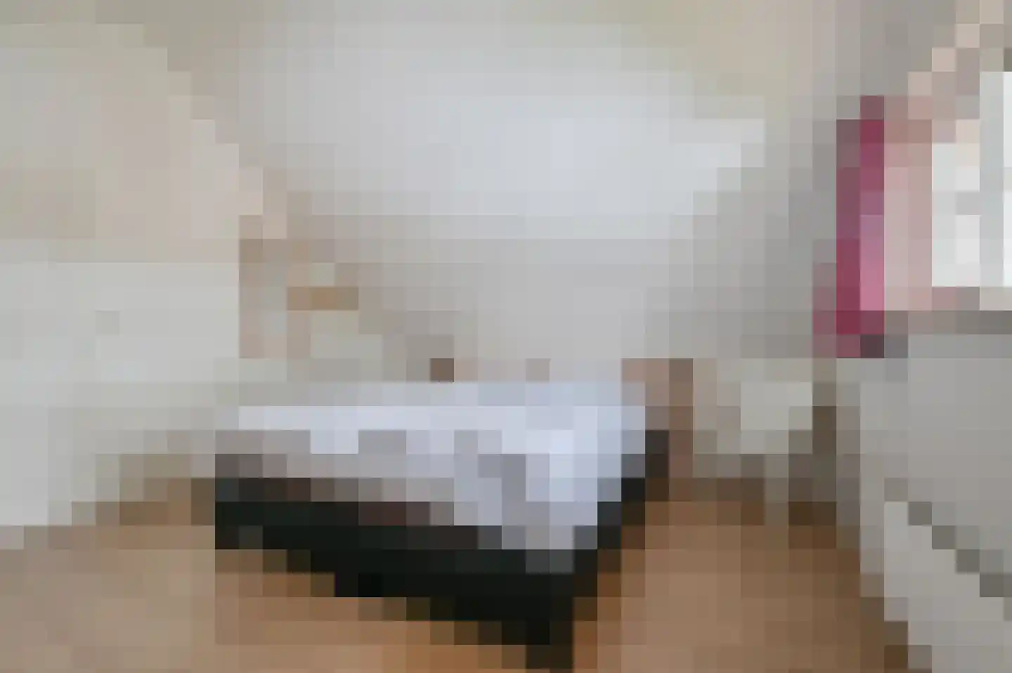 Buinerweg 8 425 Ees thumbnail 18