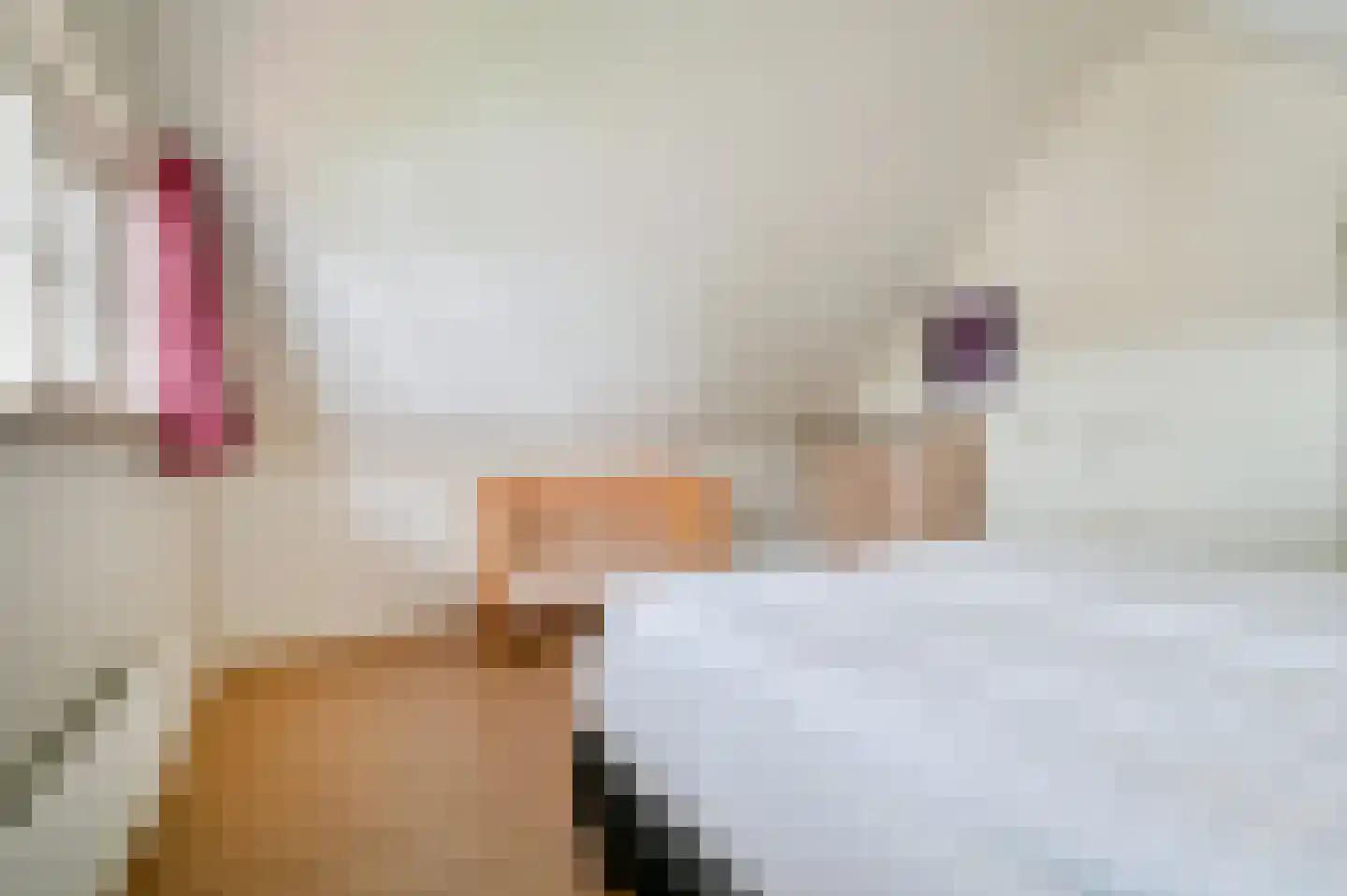 Buinerweg 8 425 Ees thumbnail 19