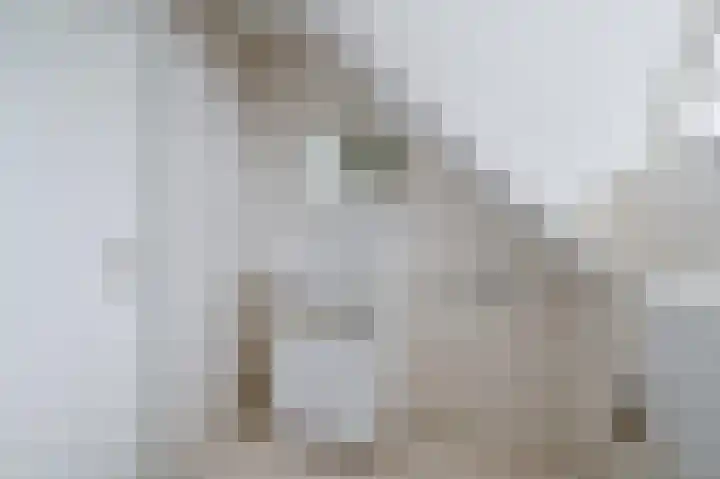 Buinerweg 8 425 Ees thumbnail 22