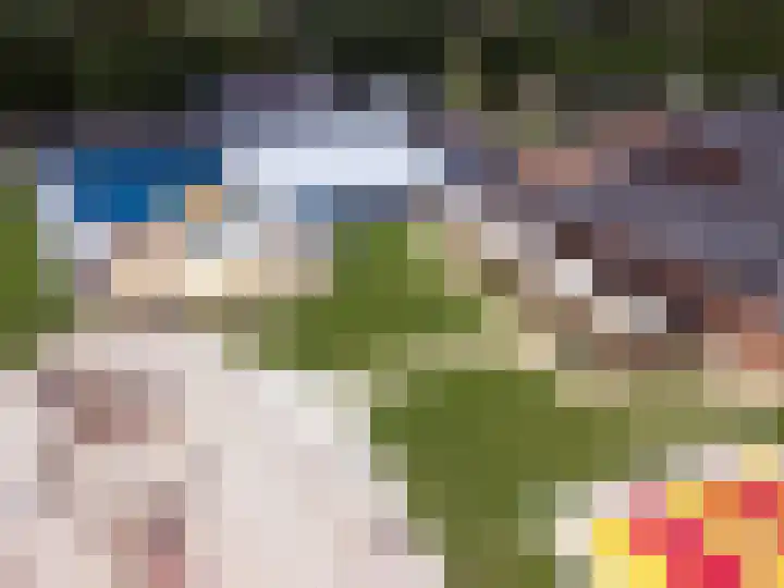 Buinerweg 8 425 Ees thumbnail 29
