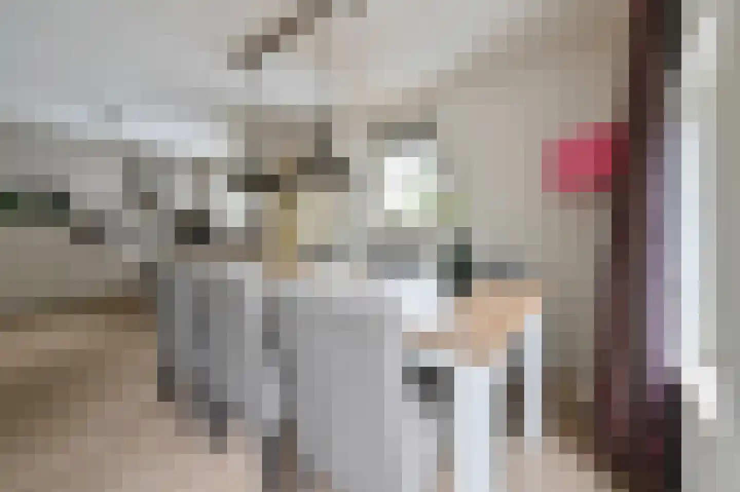 Buinerweg 8 425 Ees thumbnail 6