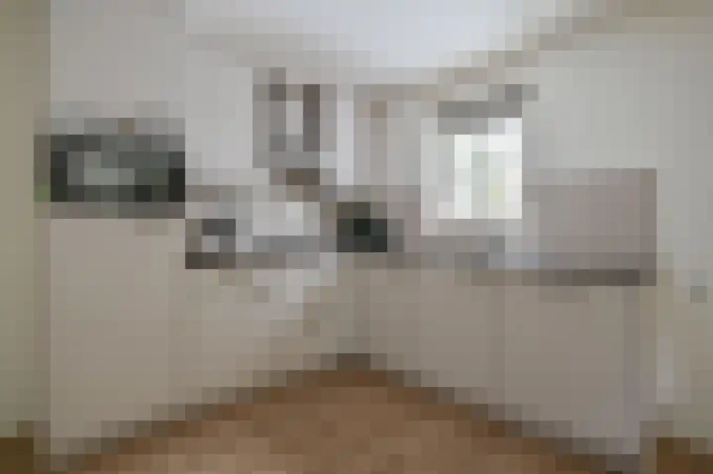 Buinerweg 8 425 Ees thumbnail 8
