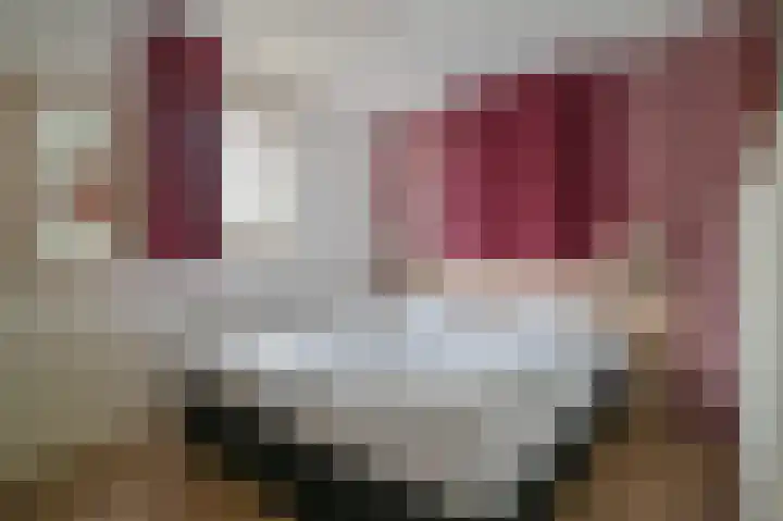 Buinerweg 8 425 Ees thumbnail 9