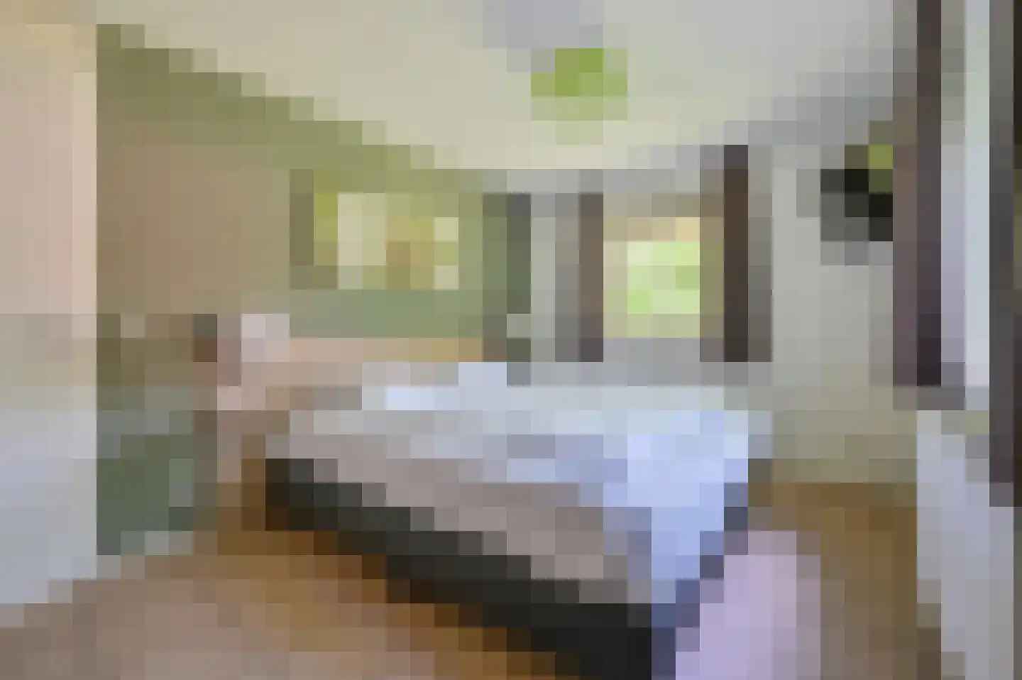 Buinerweg 8 437 Ees thumbnail 12