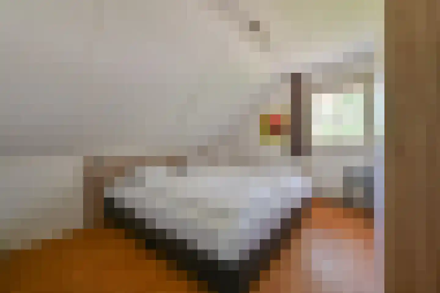Buinerweg 8 437 Ees thumbnail 17