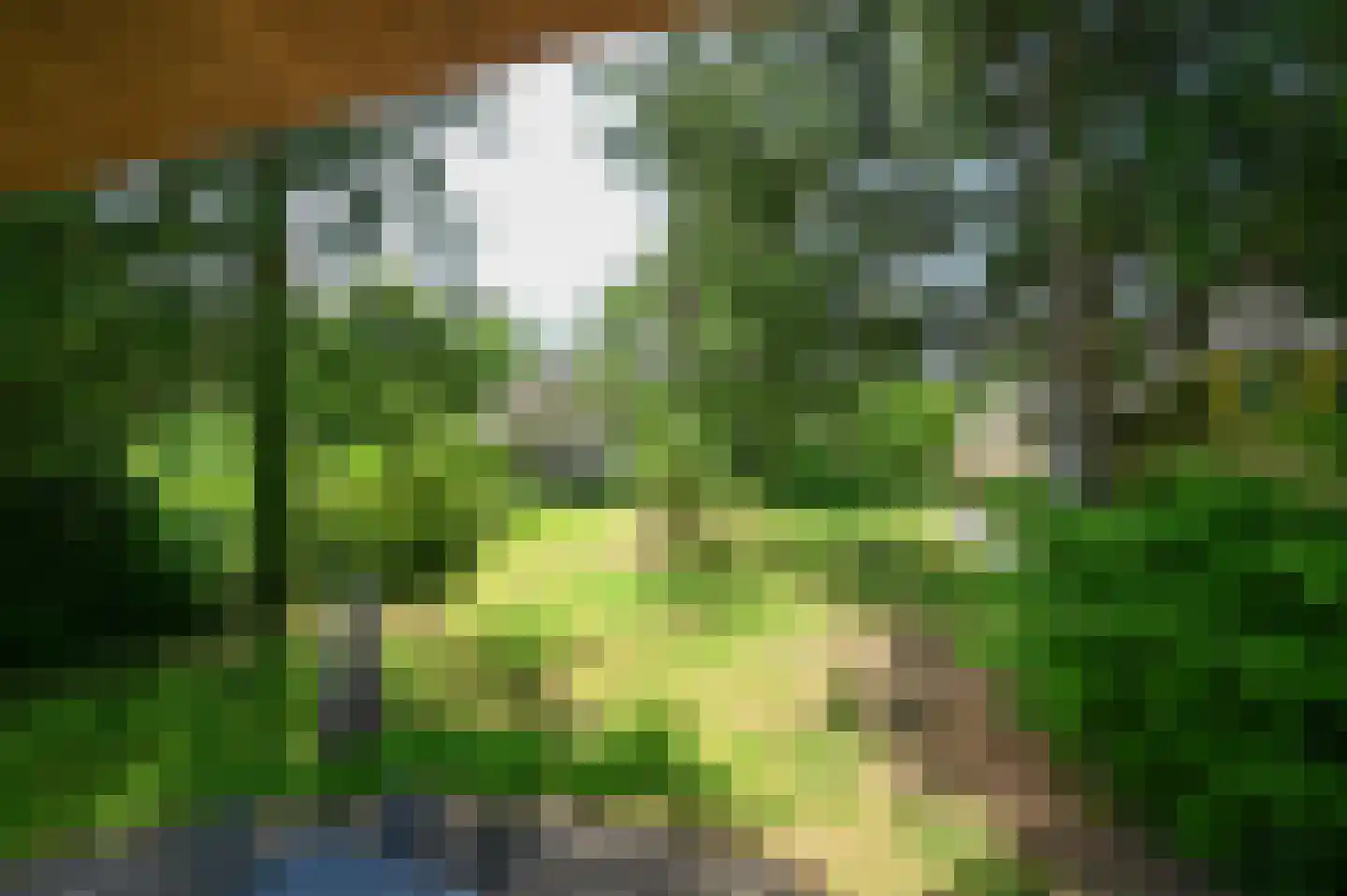 Buinerweg 8 437 Ees thumbnail 21