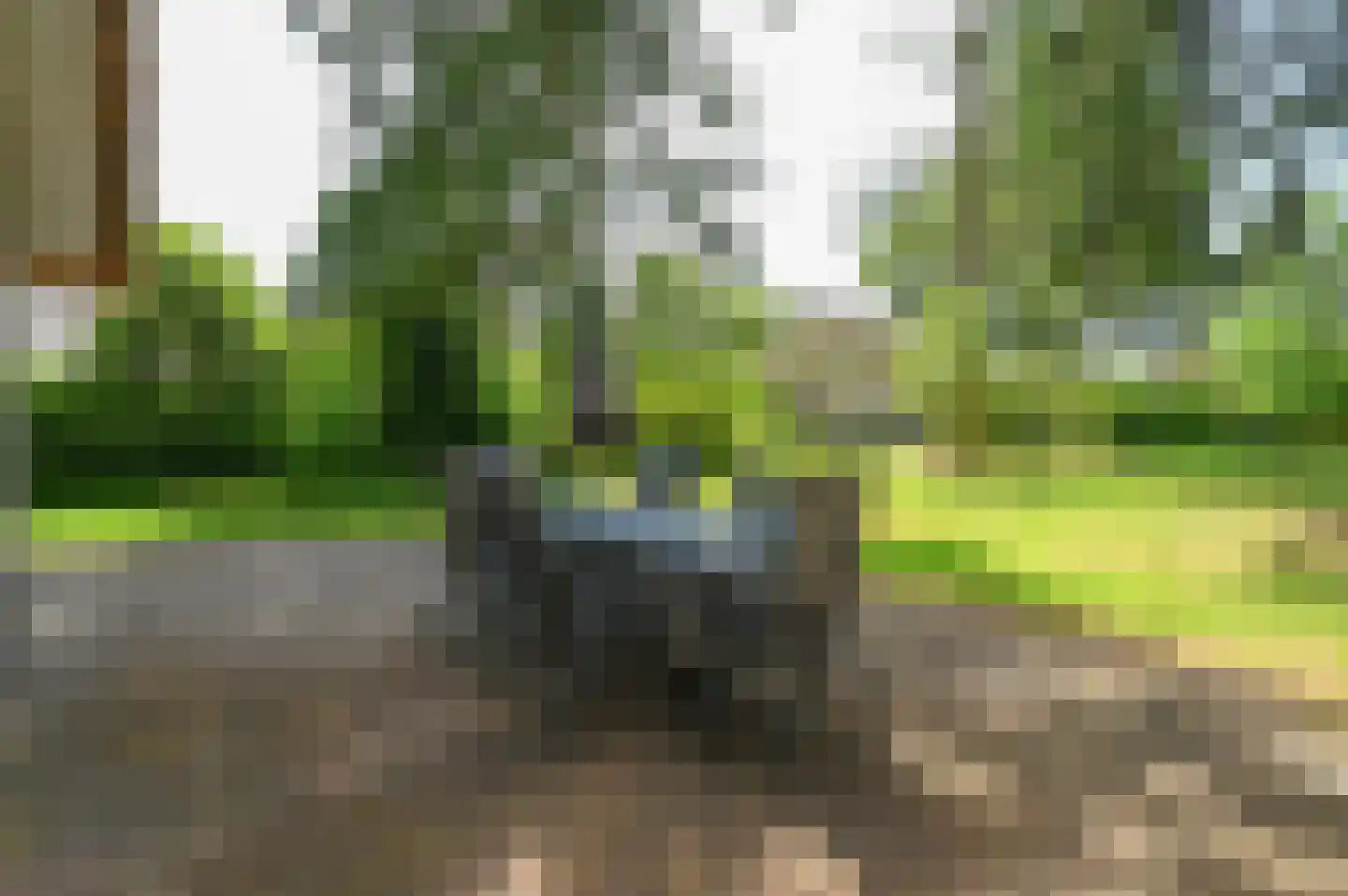 Buinerweg 8 437 Ees thumbnail 23