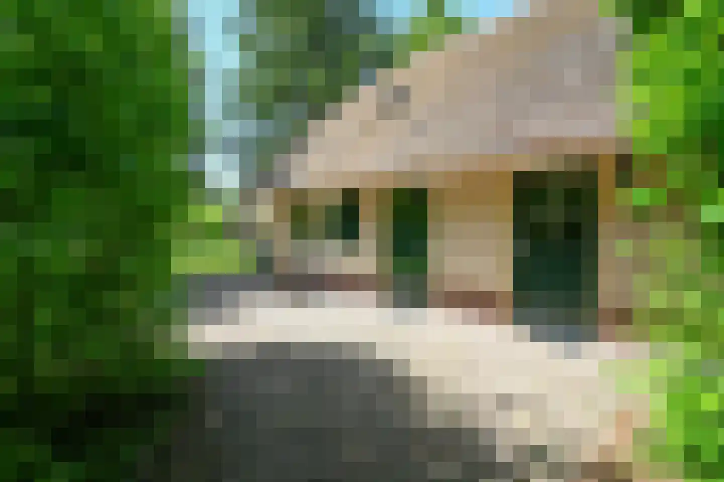 Buinerweg 8 437 Ees thumbnail 25