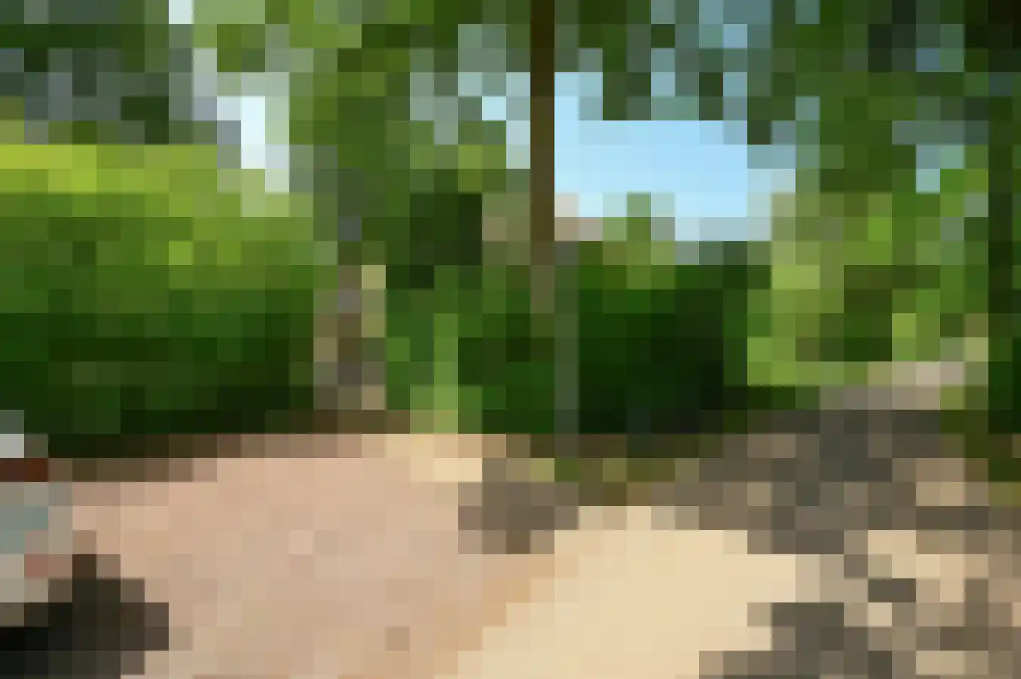 Buinerweg 8 437 Ees thumbnail 26