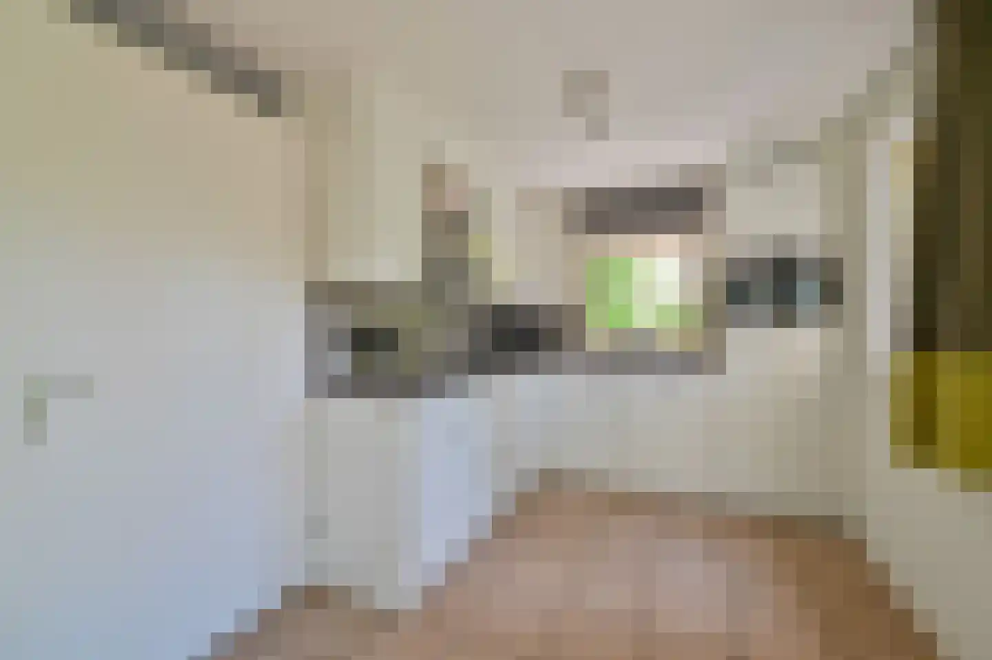 Buinerweg 8 437 Ees thumbnail 8