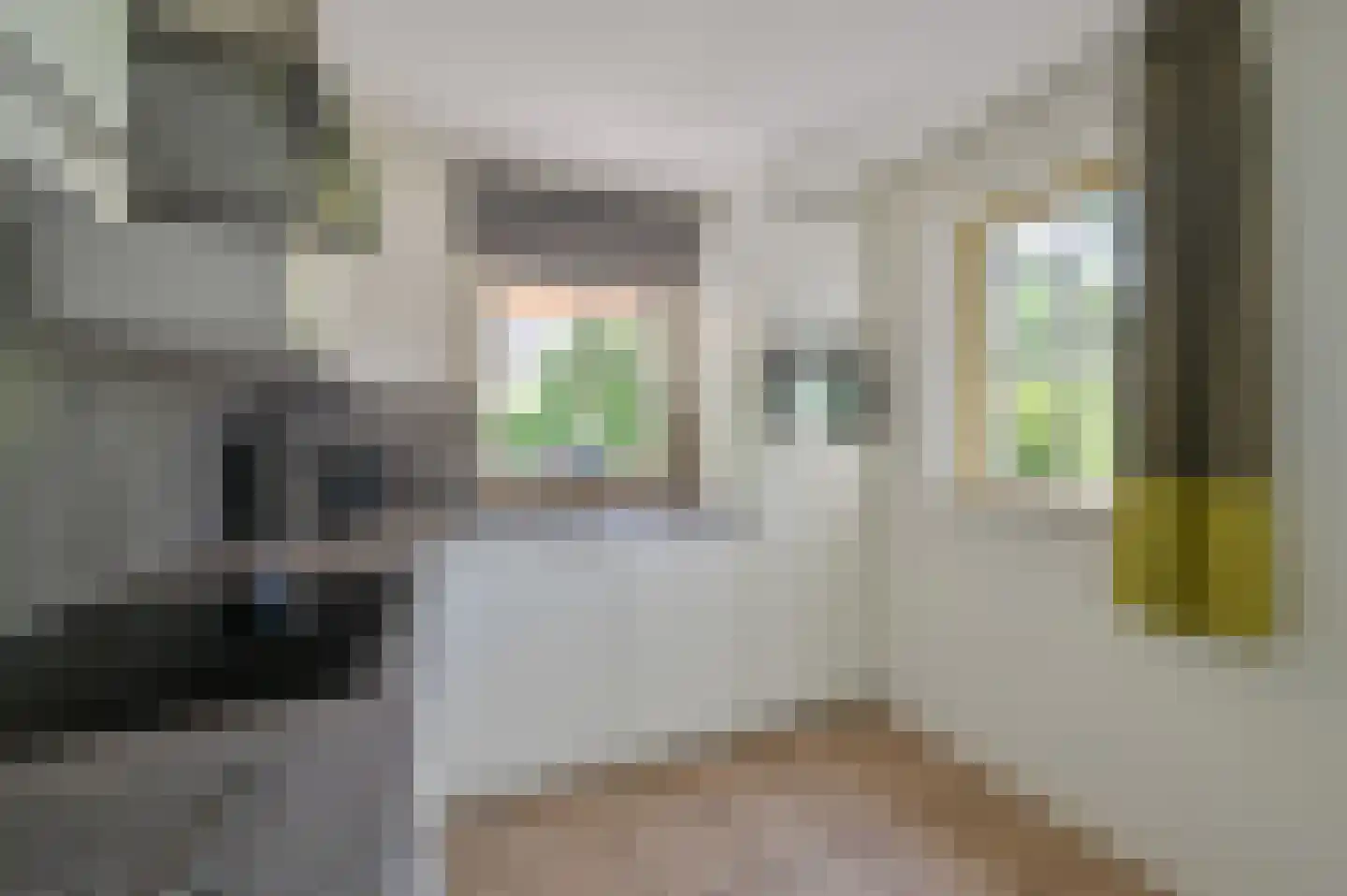 Buinerweg 8 437 Ees thumbnail 9
